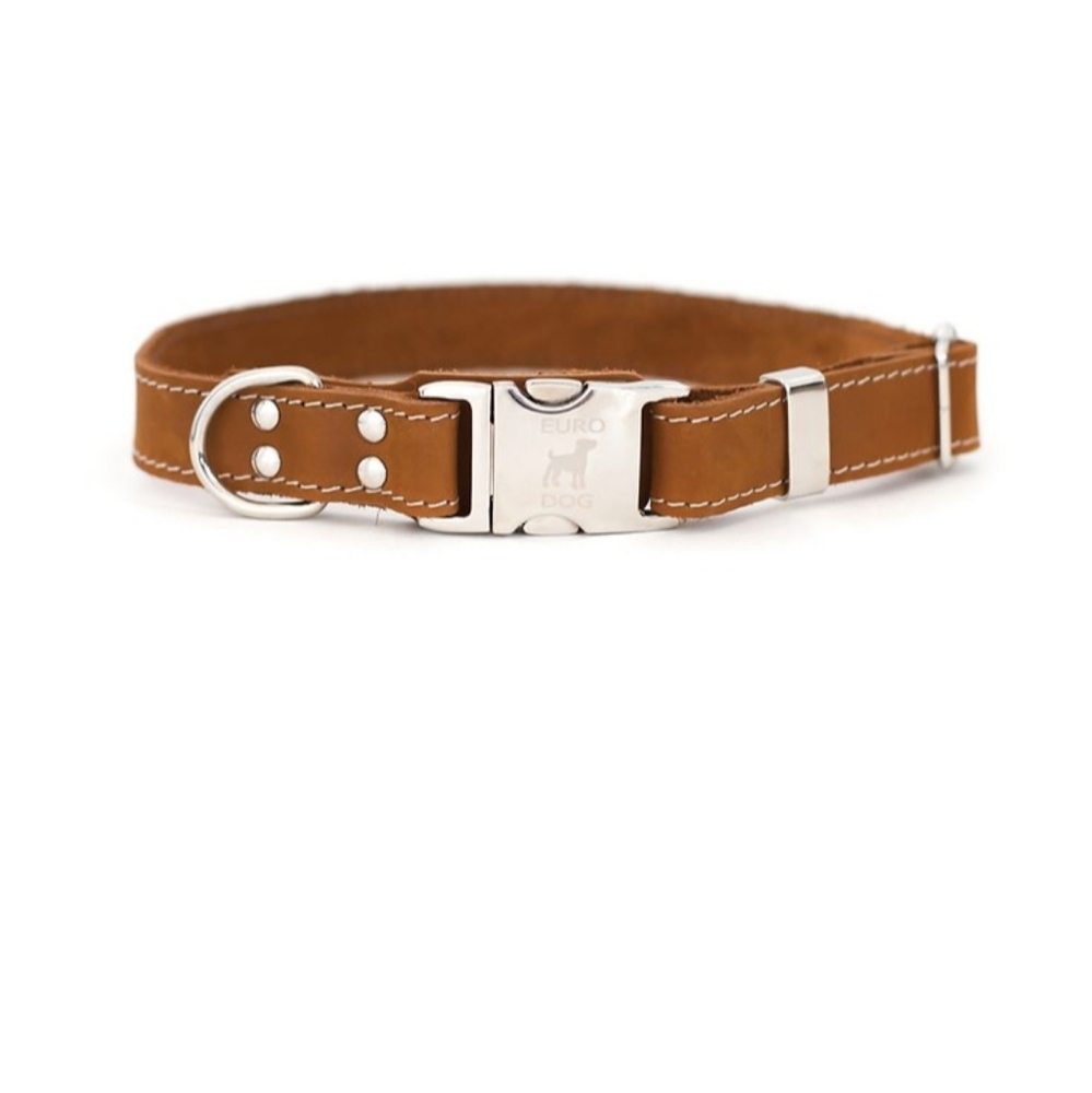 nwt • genuine leather quick release dog collar | 10-15" neck 5/8" width